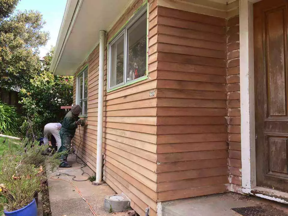 Professional painting services in Lower Hutt